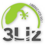 logo3Liz