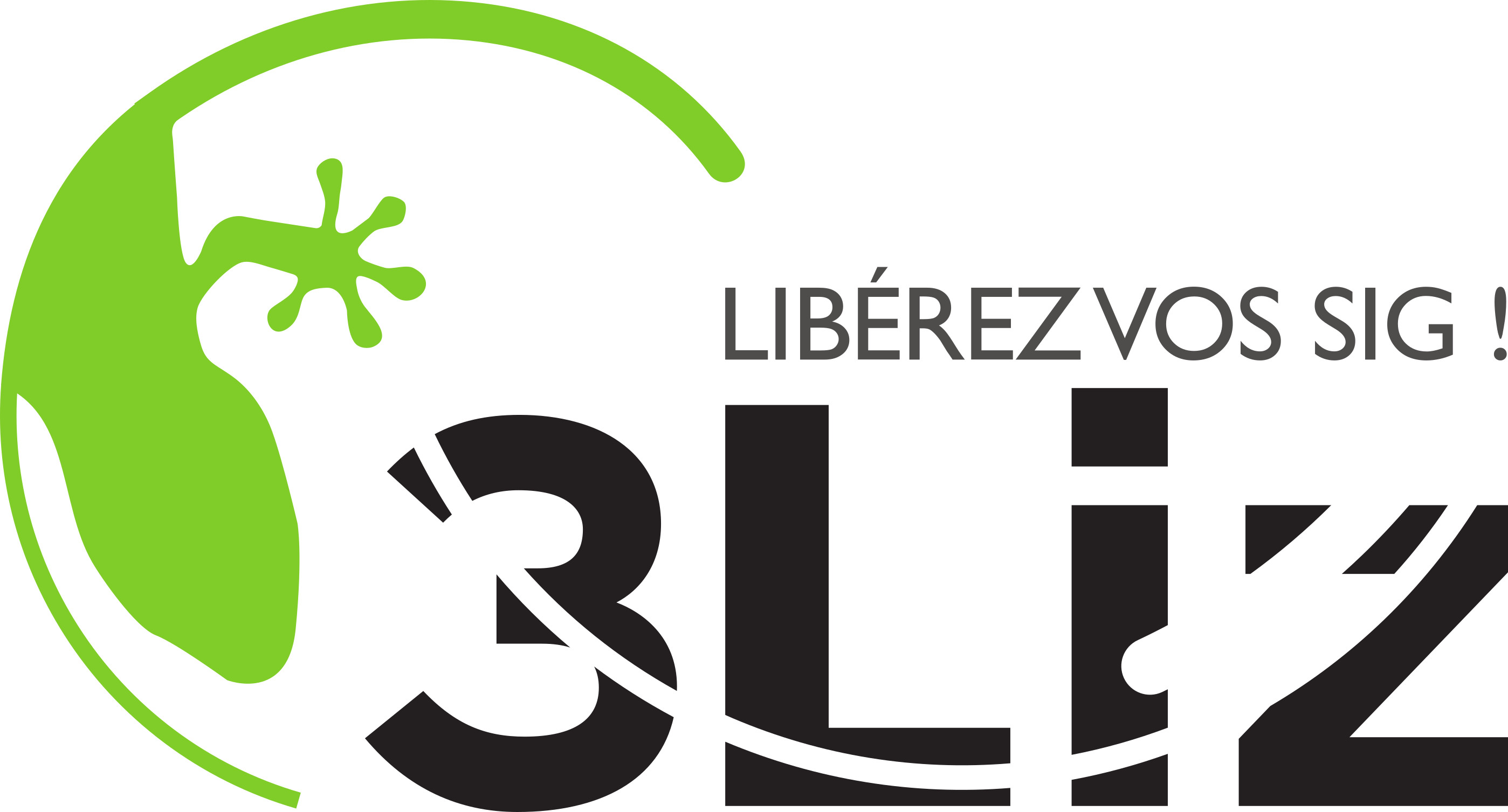 logo_3liz_fond_blanc